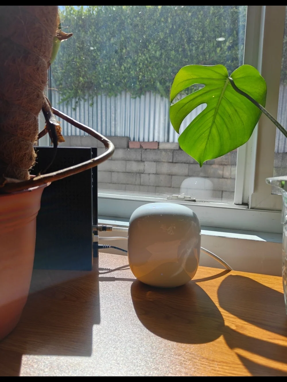 Google Nest Wifi Pro Mesh Router Trio - Wifi 6e